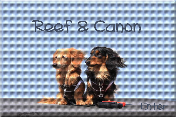 Reef & Canon